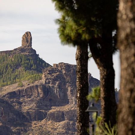 クルス・デ・テヘーダCasa Maria With Roque Nublo Viewアパートメント エクステリア 写真