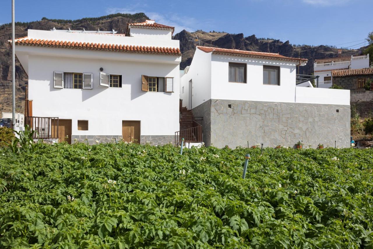 クルス・デ・テヘーダCasa Maria With Roque Nublo Viewアパートメント エクステリア 写真