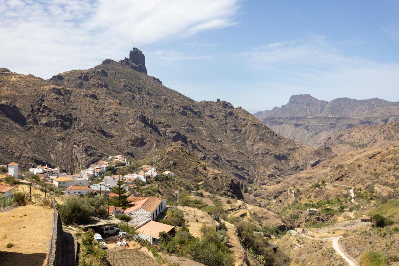 クルス・デ・テヘーダCasa Maria With Roque Nublo Viewアパートメント エクステリア 写真